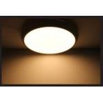 Round LED Ceiling Ø250 mm Selectable color temperature - 3000°K
