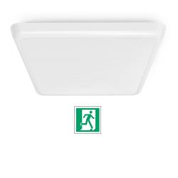 Square led ceiling light 250x250 mm - Integrated Emergency - 12 W