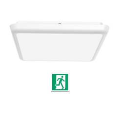 Square led ceiling light 250x250 mm - Integrated Emergency - 12 W