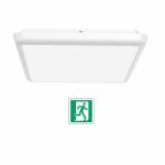 Plafoniera led quadrata 250x250 mm -  Emergenza Integrata - 12 W