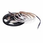 LED Strip RGB+W SMD 3838 - 24V - 19,2W/m - 240led/m