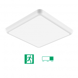 Square led ceiling light 250x250 mm - Integrated Emergency and CCT selection - 12 W