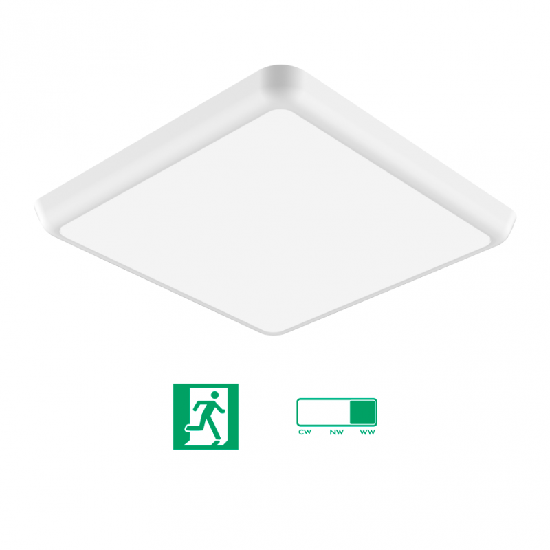 Square led ceiling light 250x250 mm - Integrated Emergency and CCT selection - 12 W