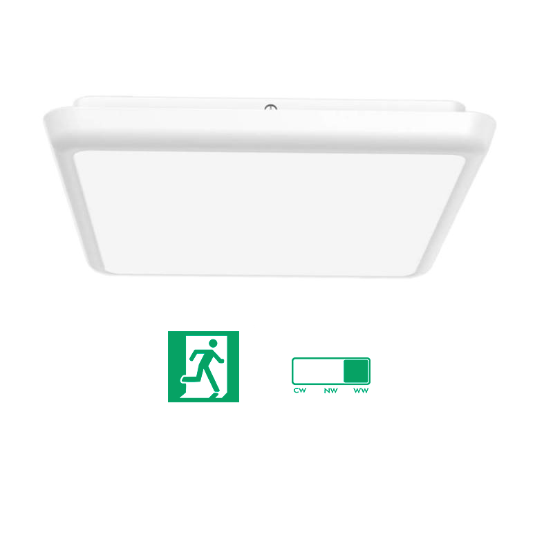 Square led ceiling light 250x250 mm - Integrated Emergency and CCT selection - 12 W