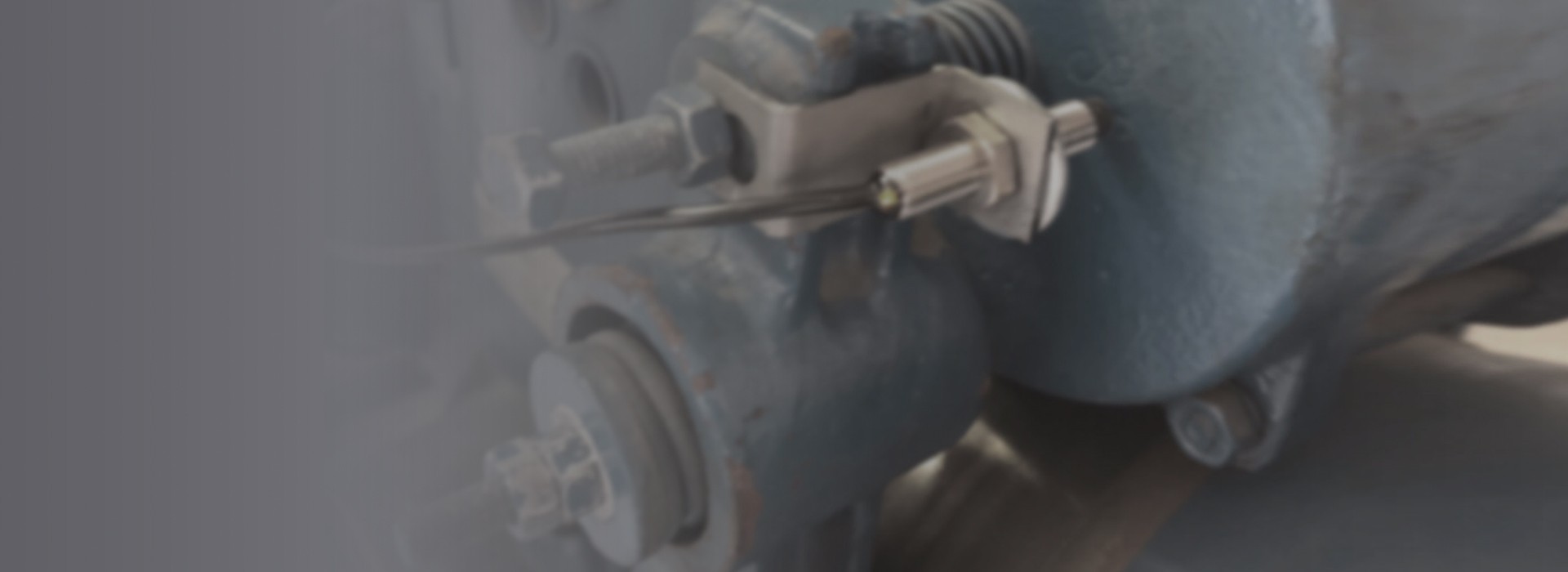 Product complies to the standard UNI 10411-1:2024